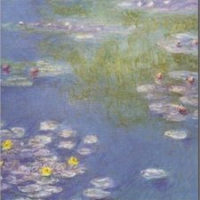 water lilies greeting cards